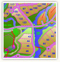 Interactive Map
